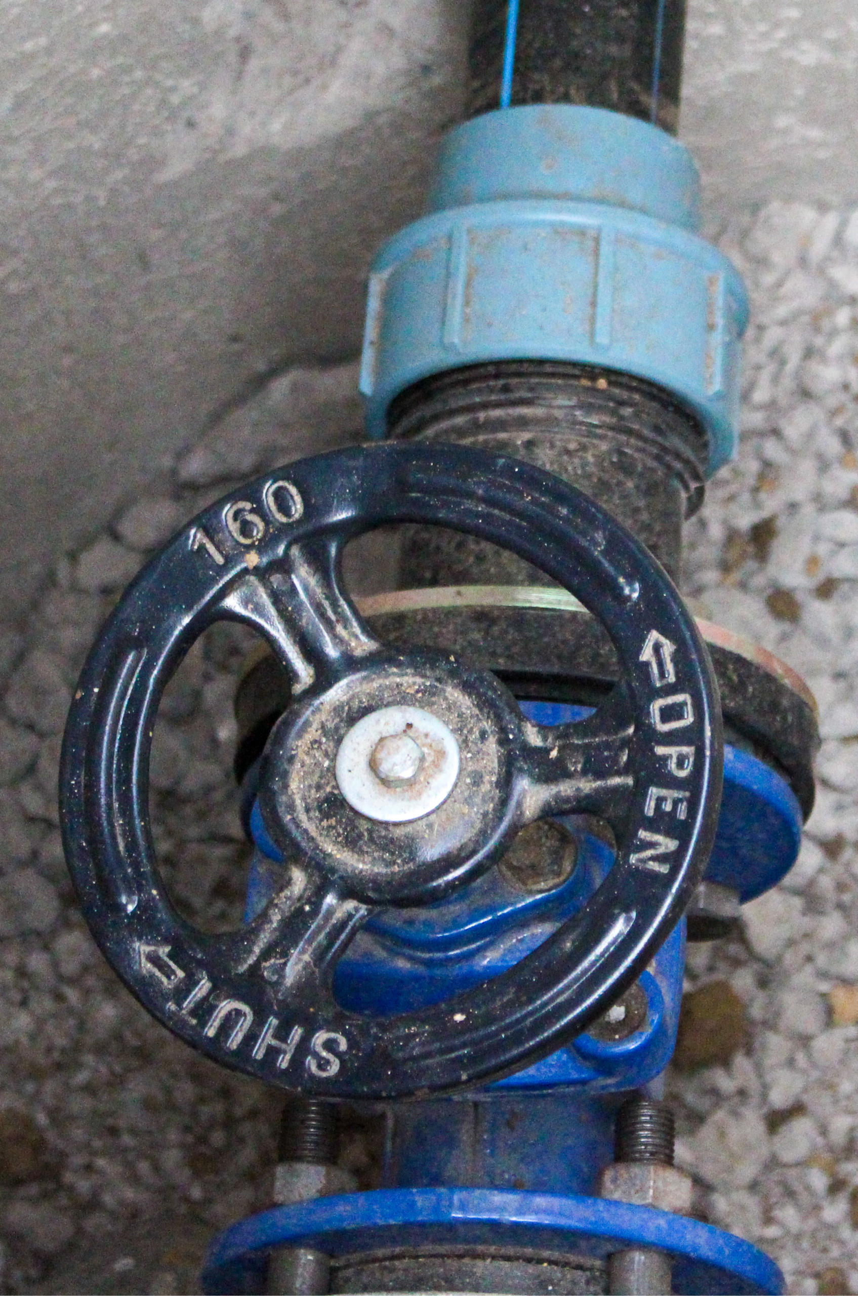 Water and Sanitation